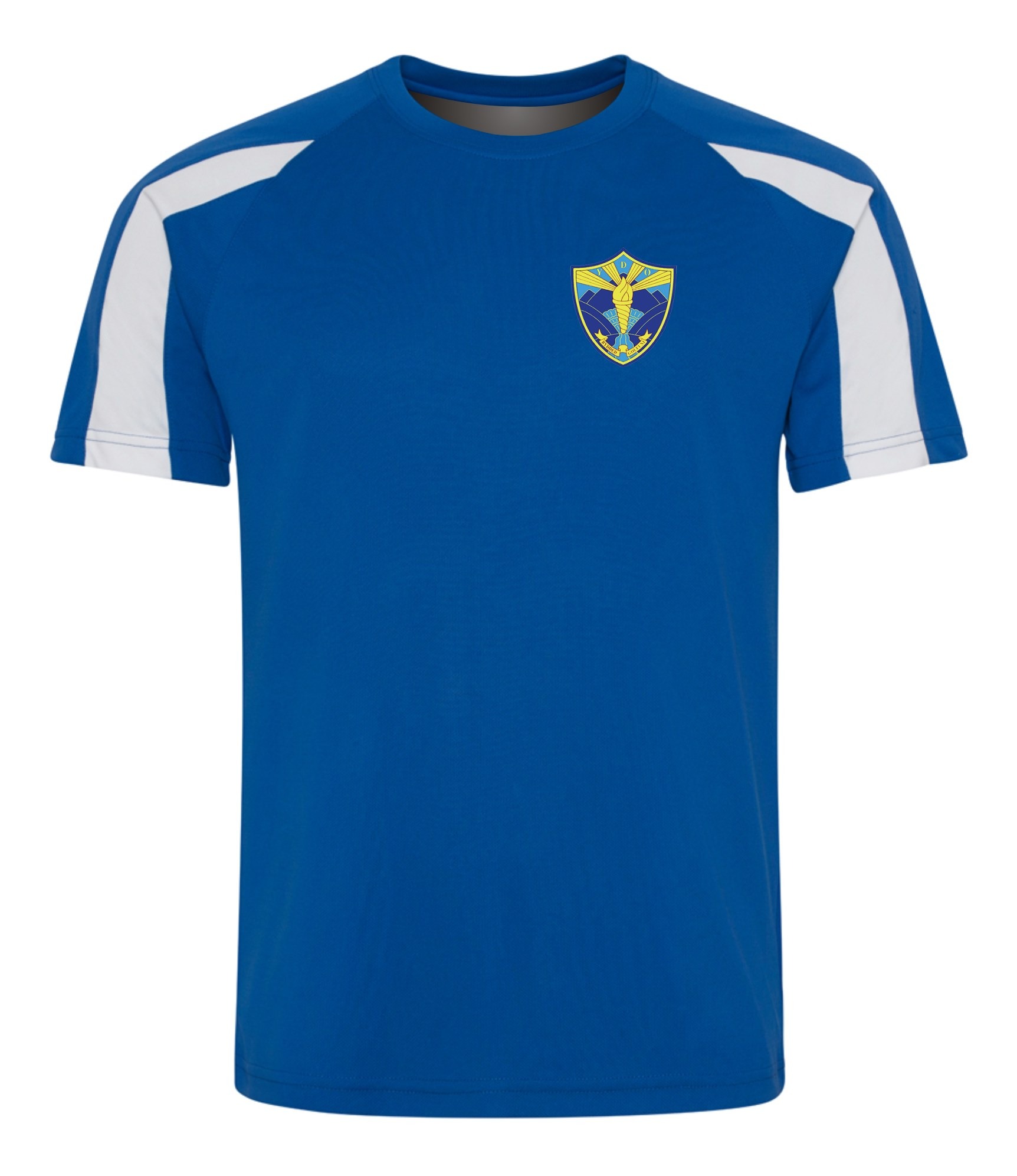 Ysgol Dyffryn Ogwen Junior PE T-Shirt - Teejac
